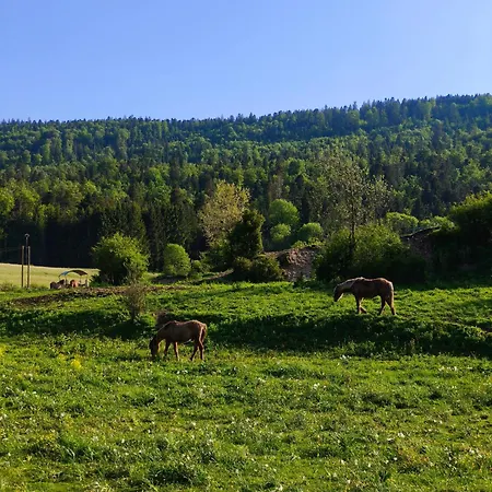D'exception Avec Sauna Et Jacuzzi - Vue Imprenable Sur La Campagne